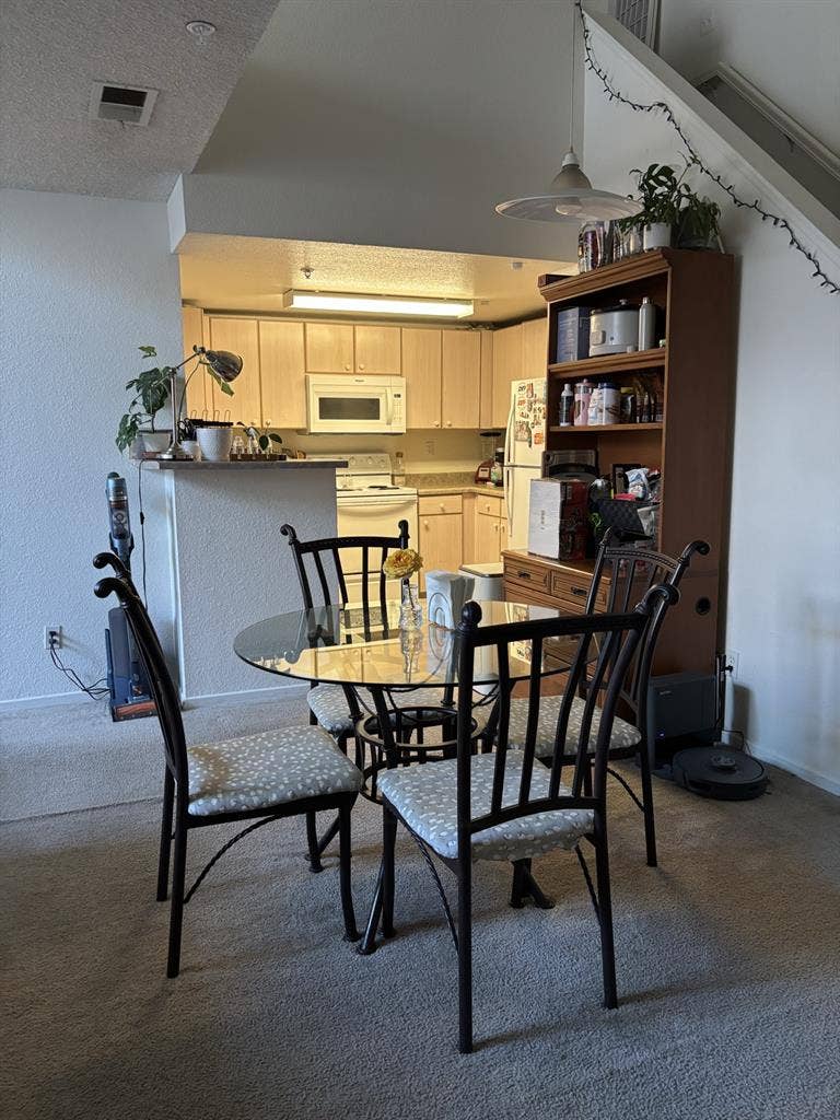 In Search of a Roommate