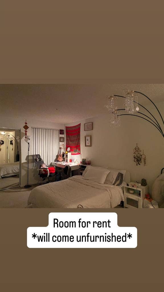 In Search of a Roommate