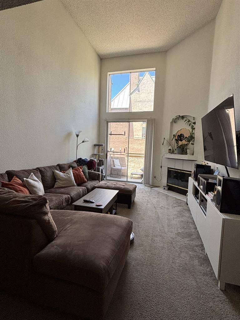 In Search of a Roommate