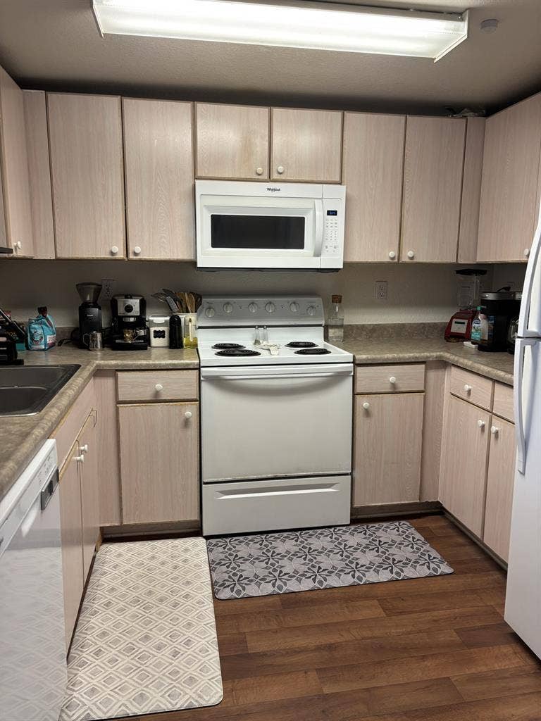 In Search of a Roommate