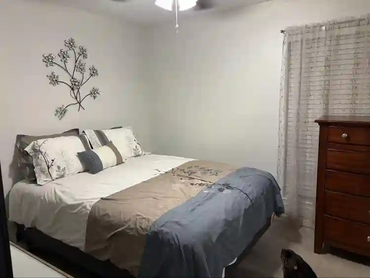 I will be adding a bed this week!
