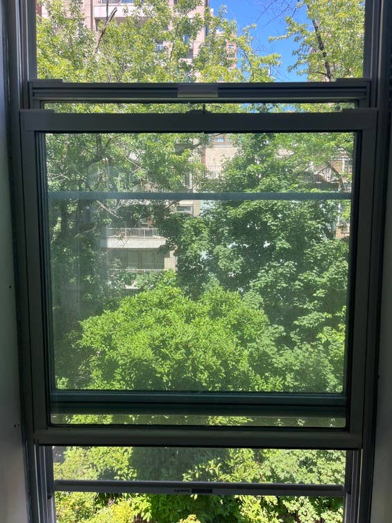 Enjoy Sunny Living in Kips Bay