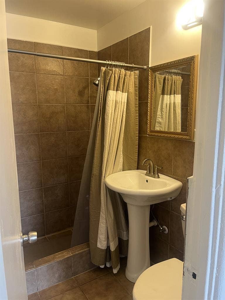 Roommate wanted!