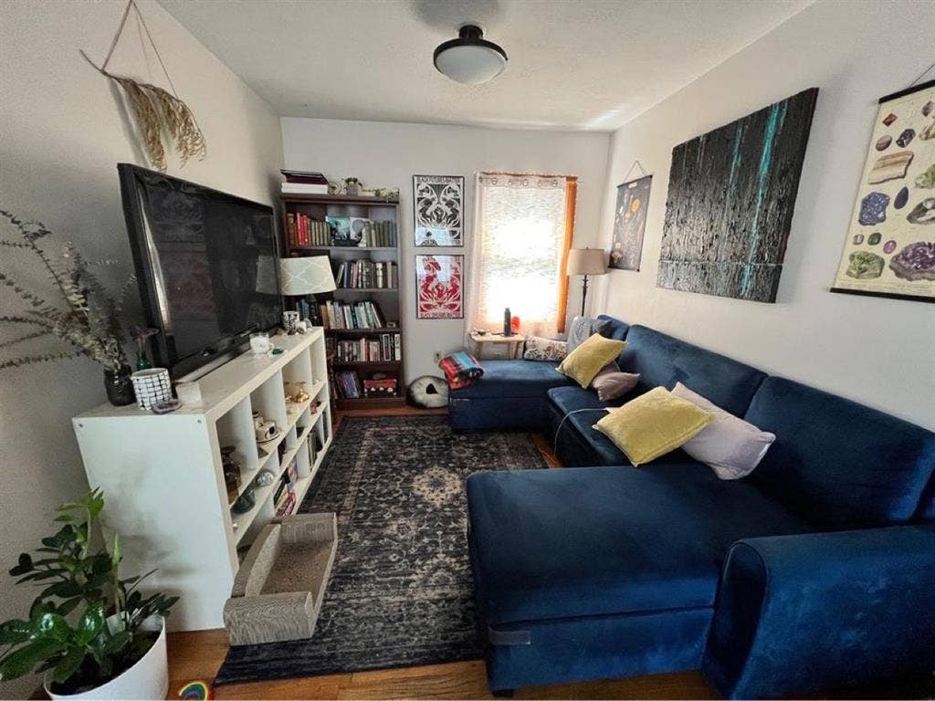 Private daylight basement room