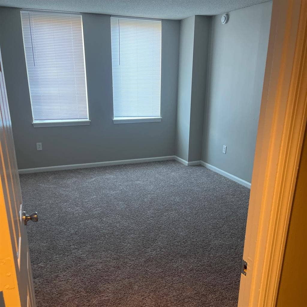🏠 Looking for a roommate