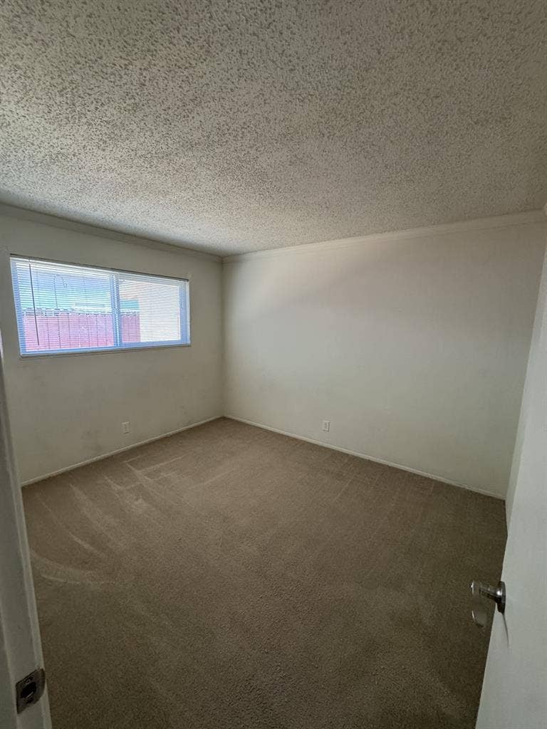 Private Room for Rent