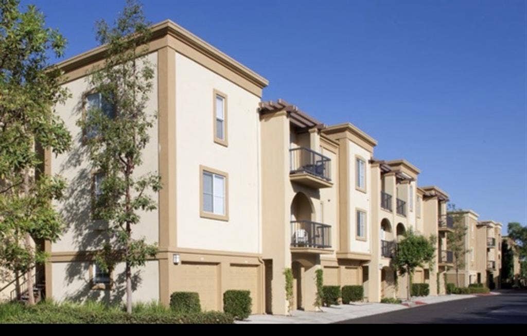 Looking for a roommate