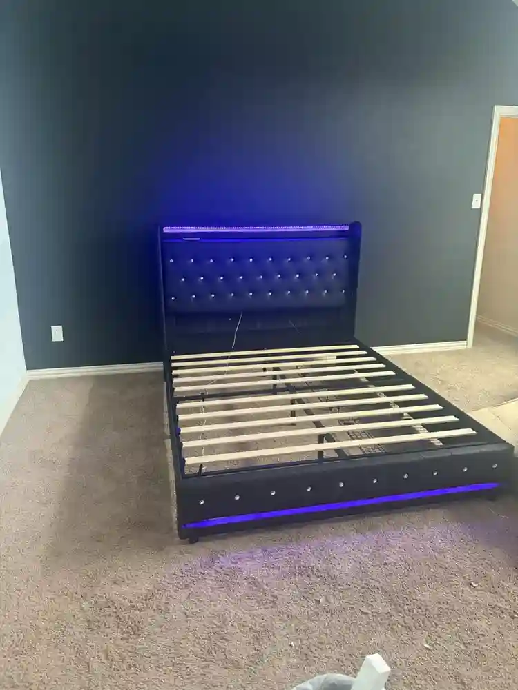 Female Roommate Wanted