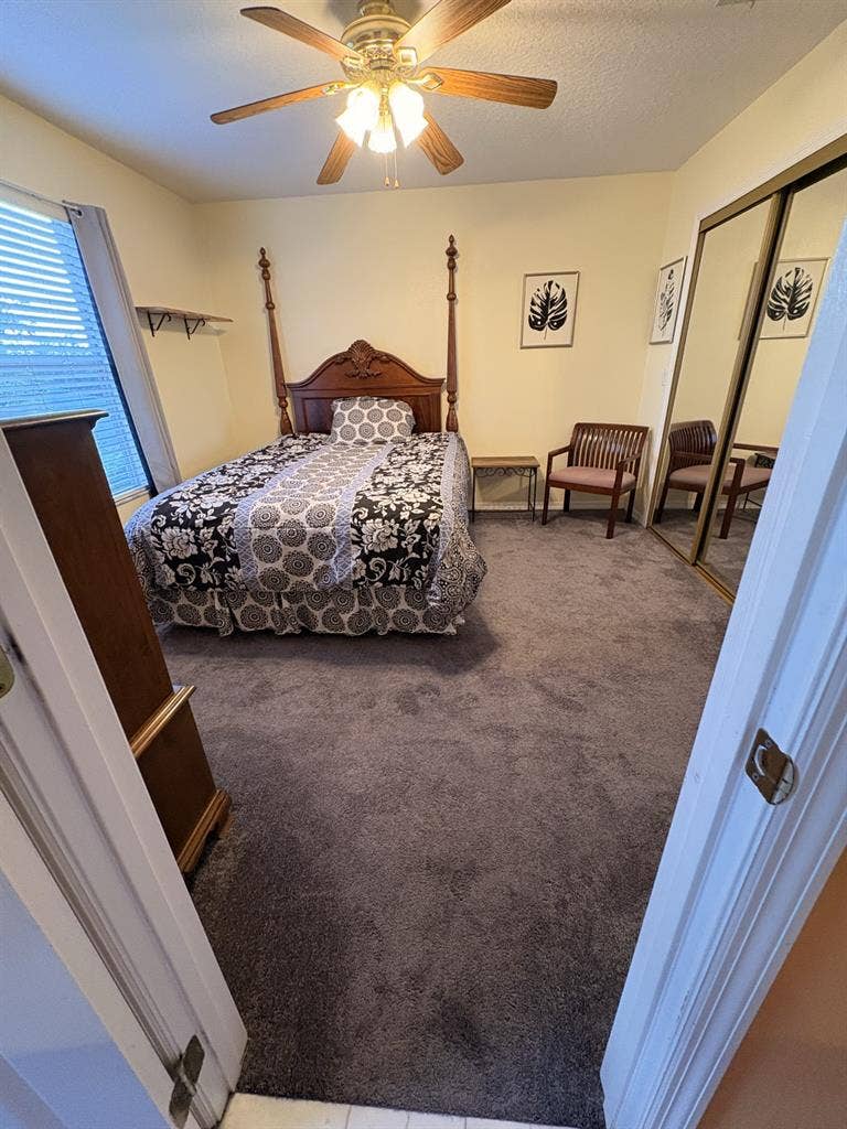 Dr. Phillips-Furnished Junior Suite