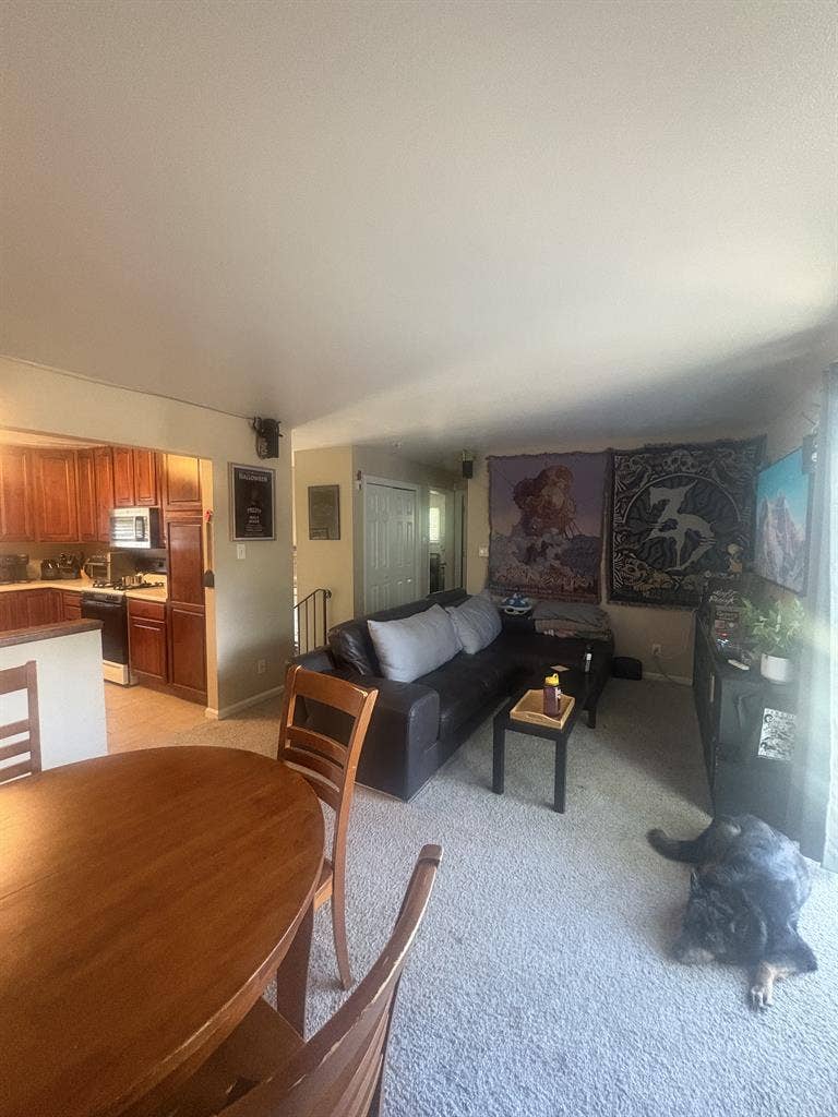 Looking for One roommate