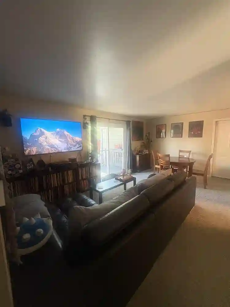 Looking for One roommate