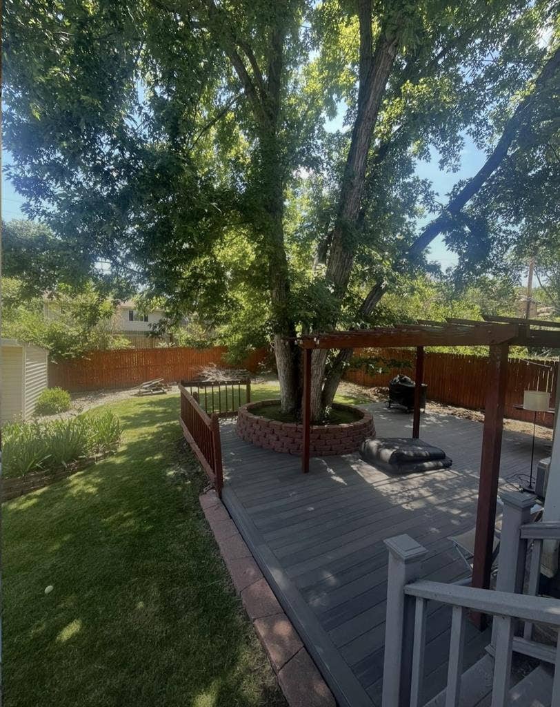 Looking for One roommate