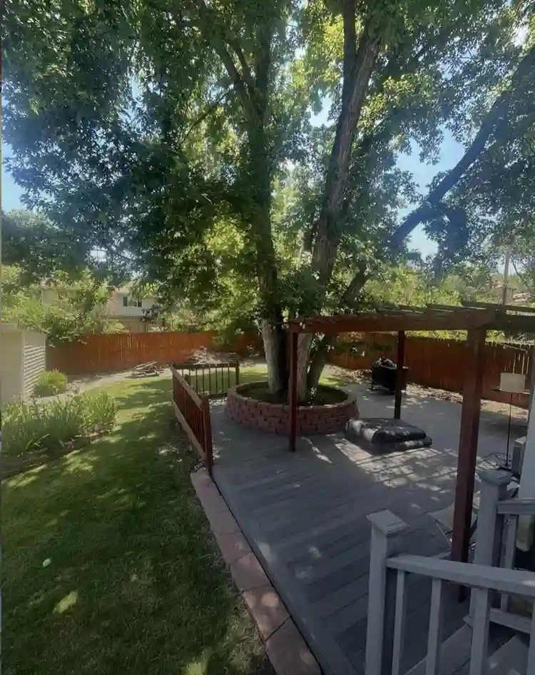 Looking for One roommate