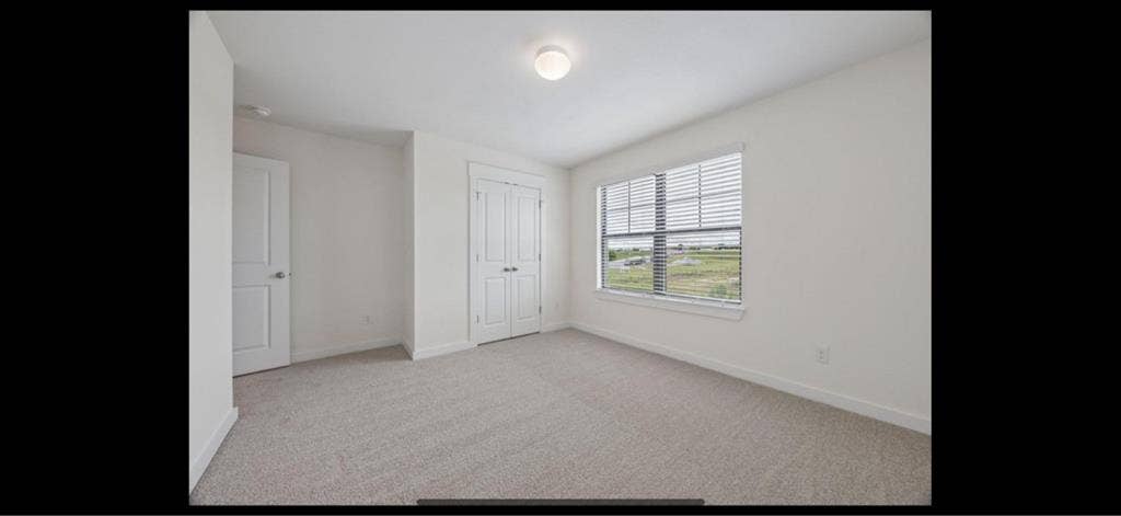 Roommate needed