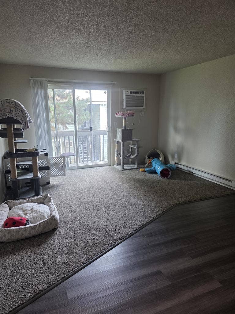 Private room for rent $725 [Rent]