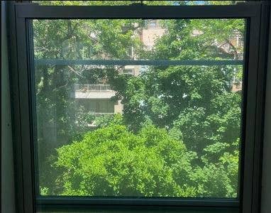 Bright, Spacious Kips Bay Room