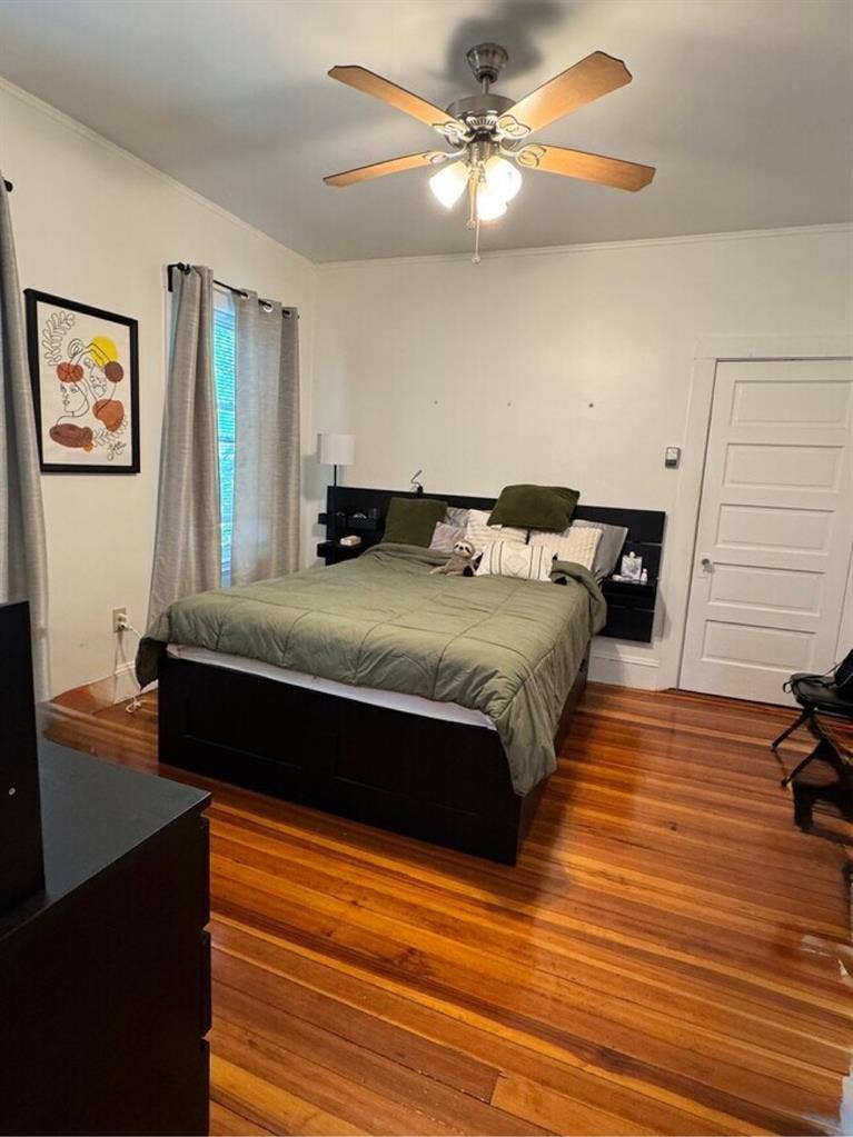 Looking for flatmates