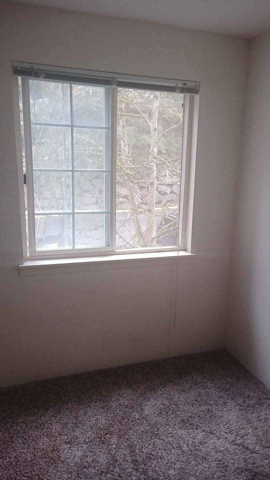 Looking for a Roomate to share