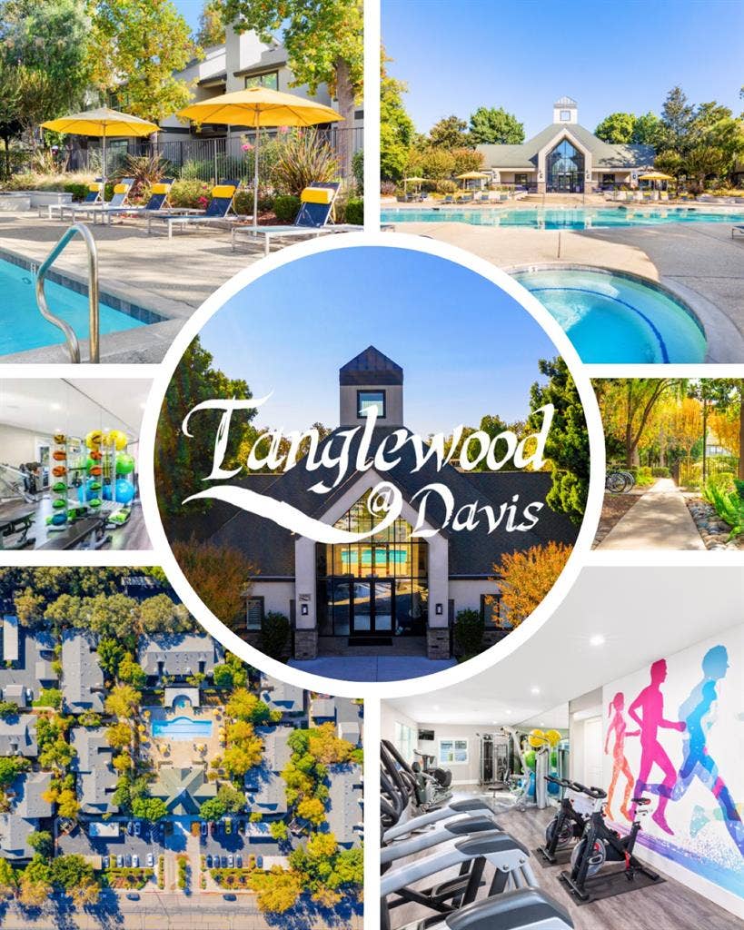 1 bed Shared Bath (In Unit Laundry)