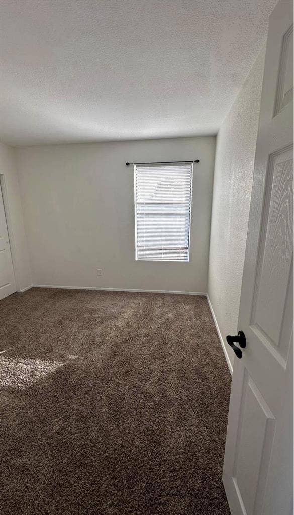Looking for a female roomate