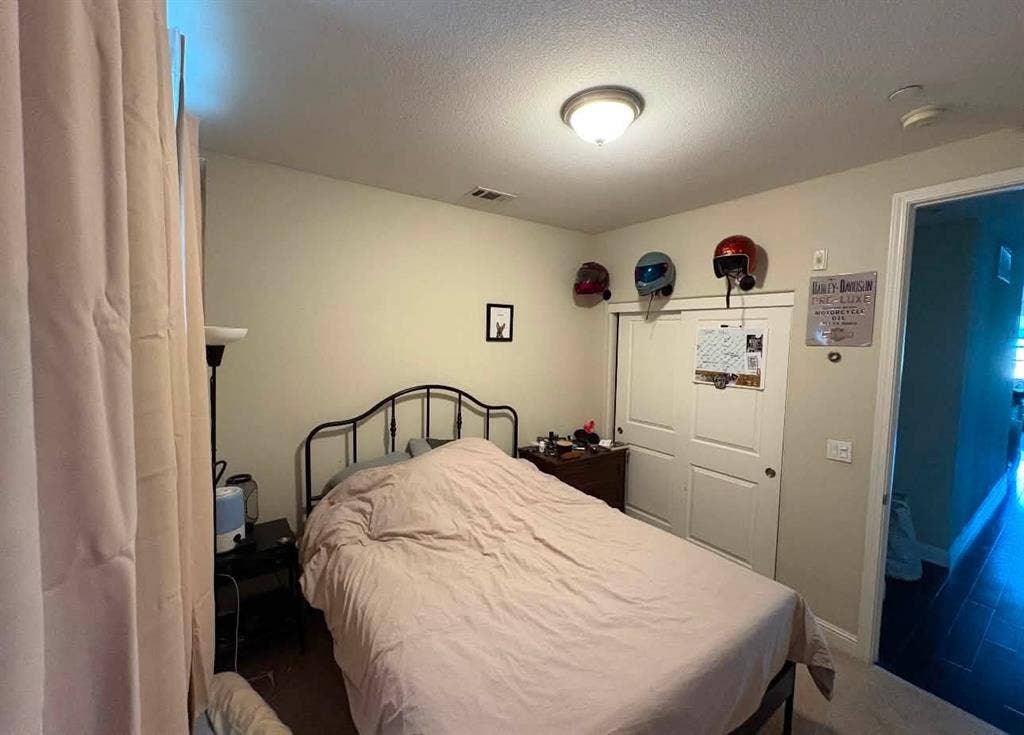 Looking for a Clean Roommate in NY