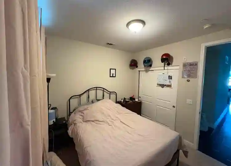 Looking for a Clean Roommate in NY