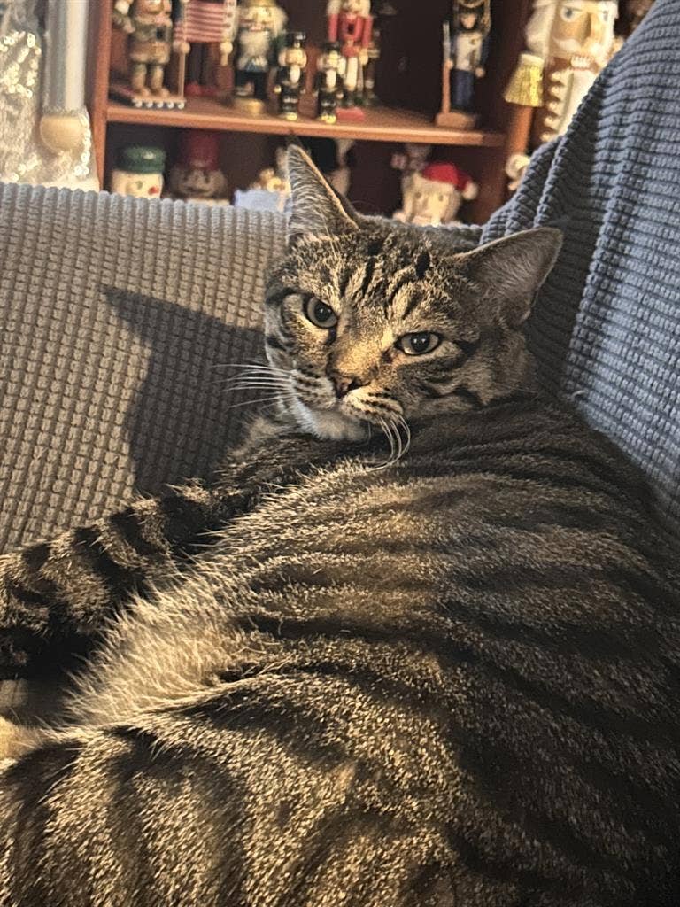 Looking for place and or roommate