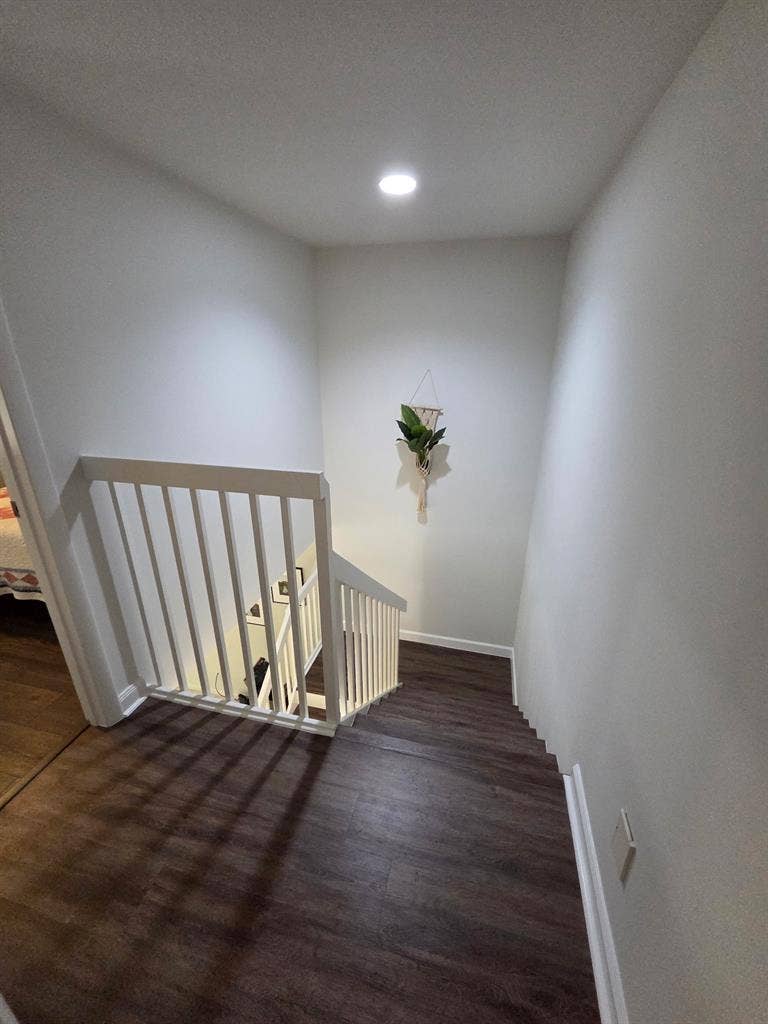 Room for rent!