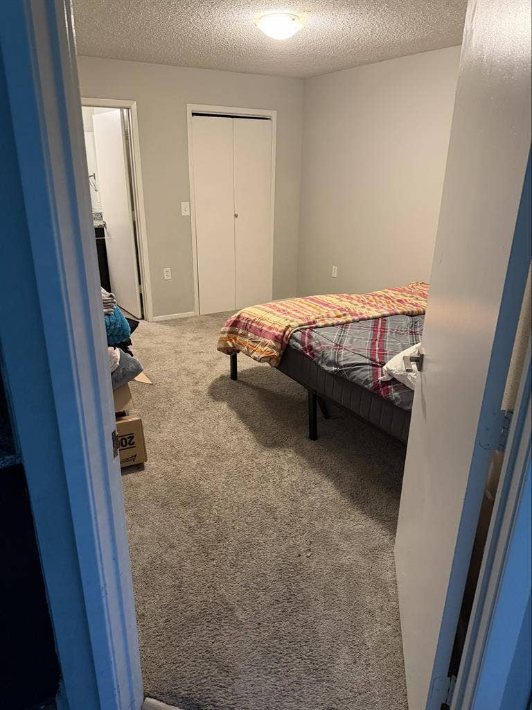 Roommate wanted