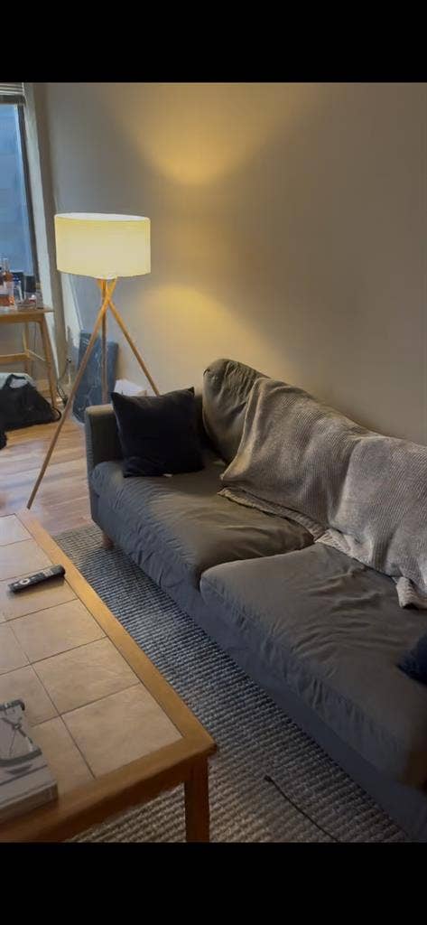 Furnished 1BR sublet