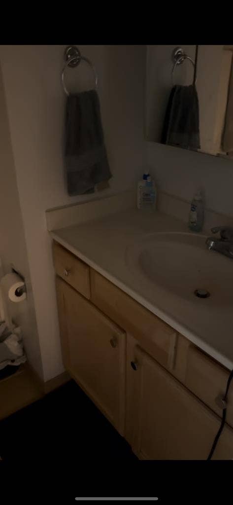 Furnished 1BR sublet