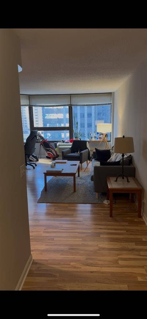 Furnished 1BR sublet