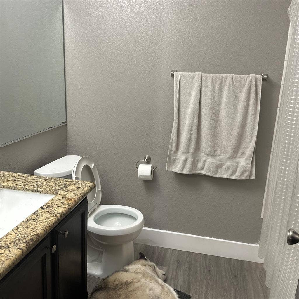 Rooms for rent