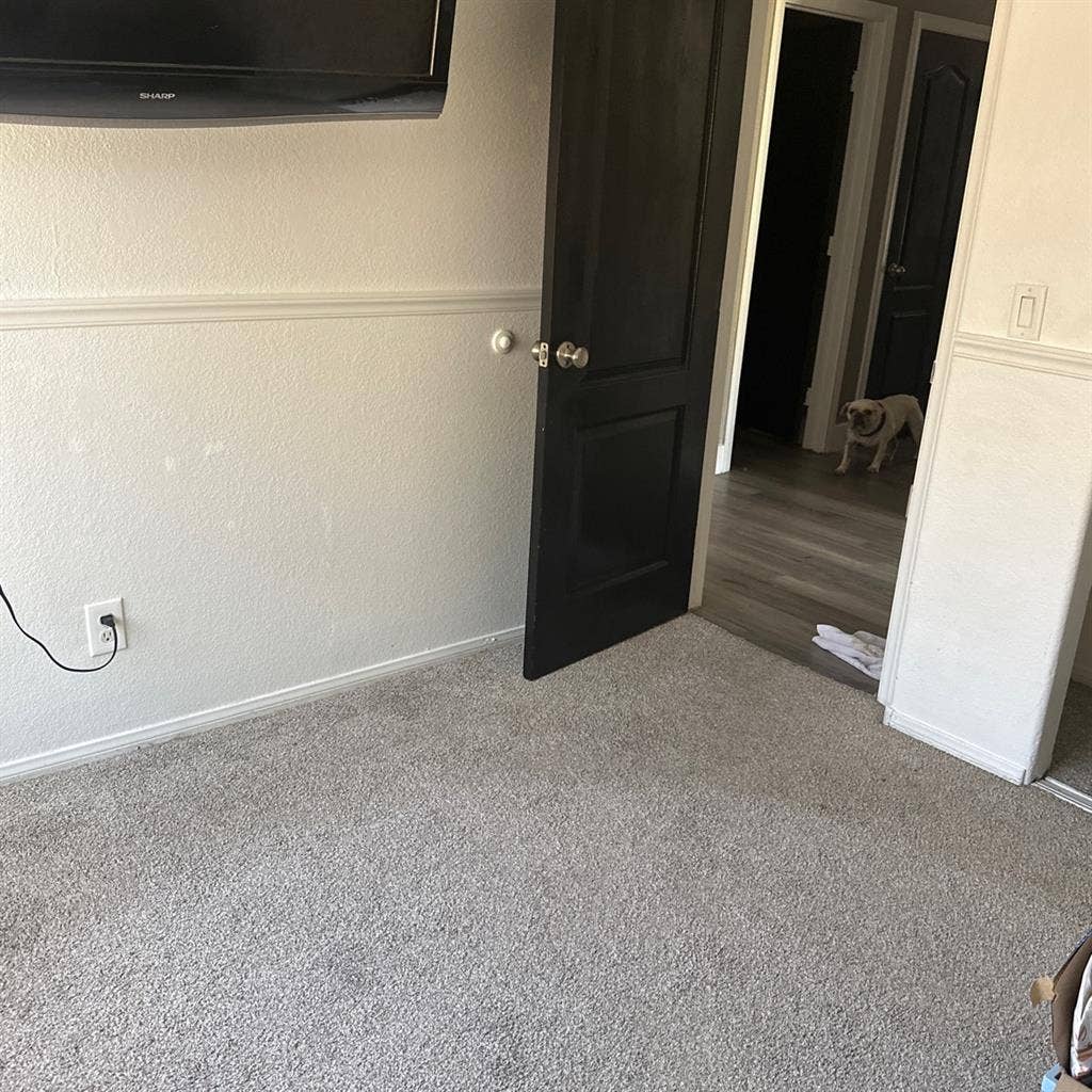 Rooms for rent