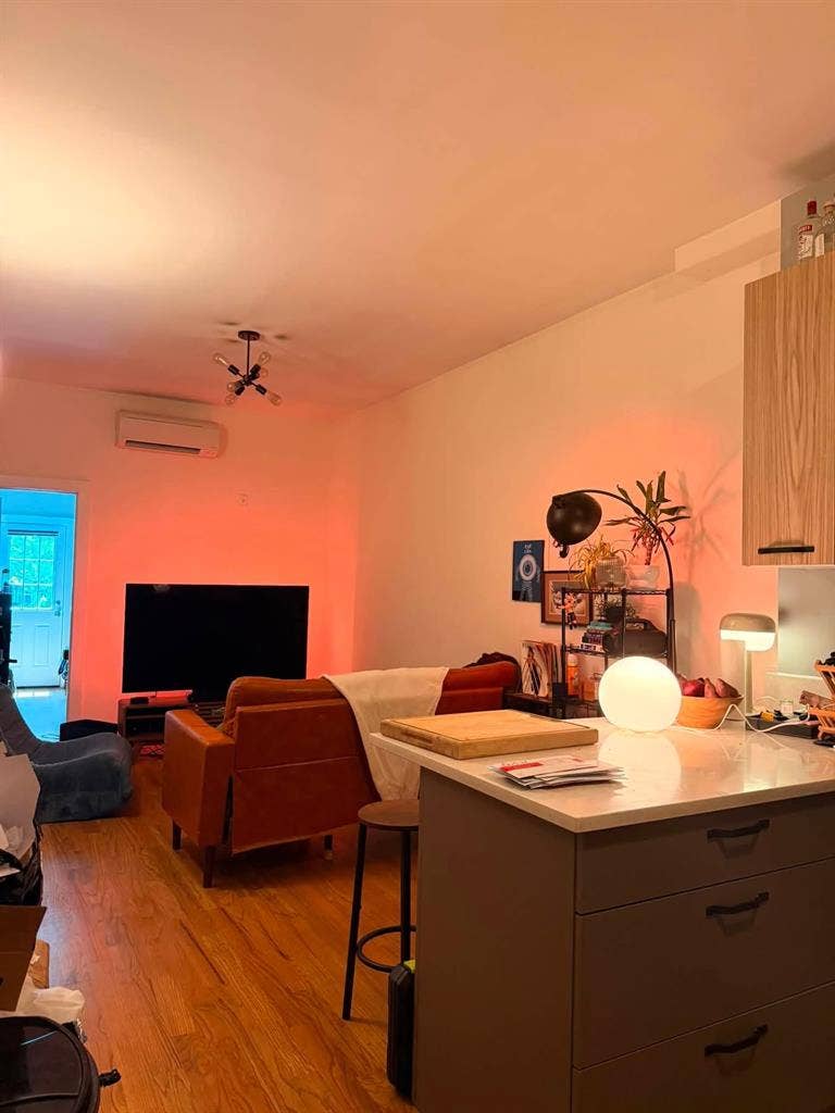 Room Available Bushwick August 1st