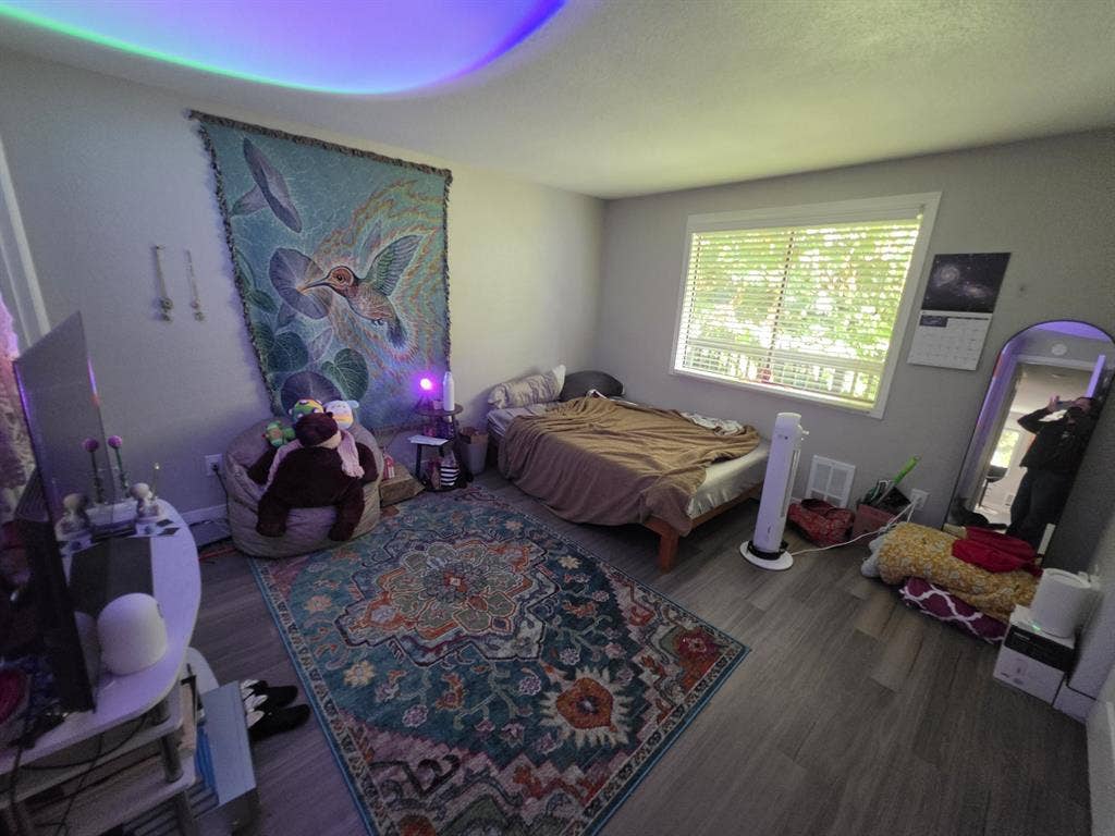 Sept-Feb roommate wanted
