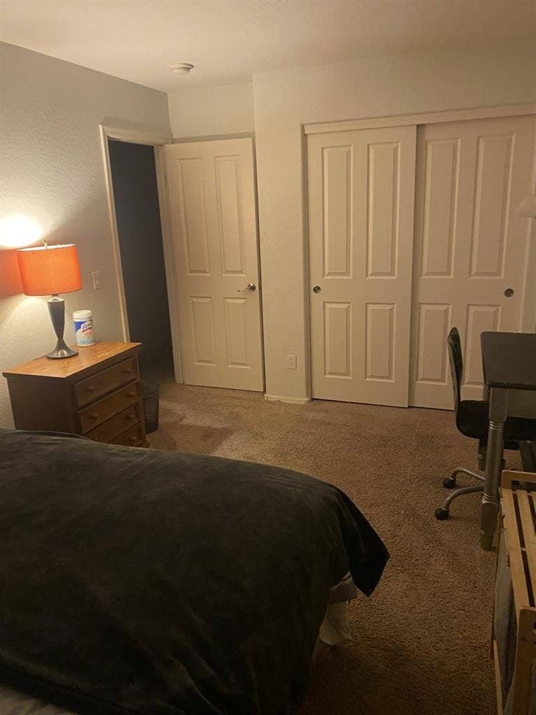 Looking for a roommate