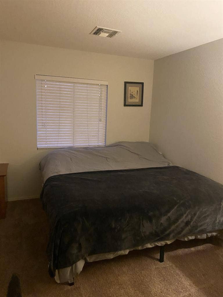 Looking for a roommate
