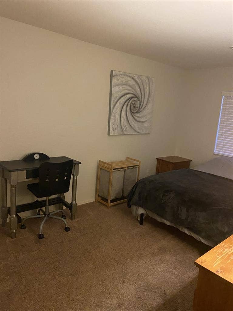 Looking for a roommate