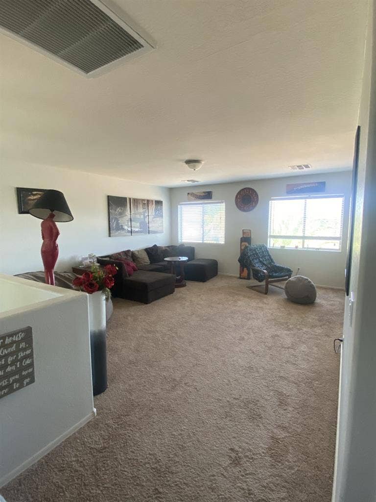 Looking for a roommate