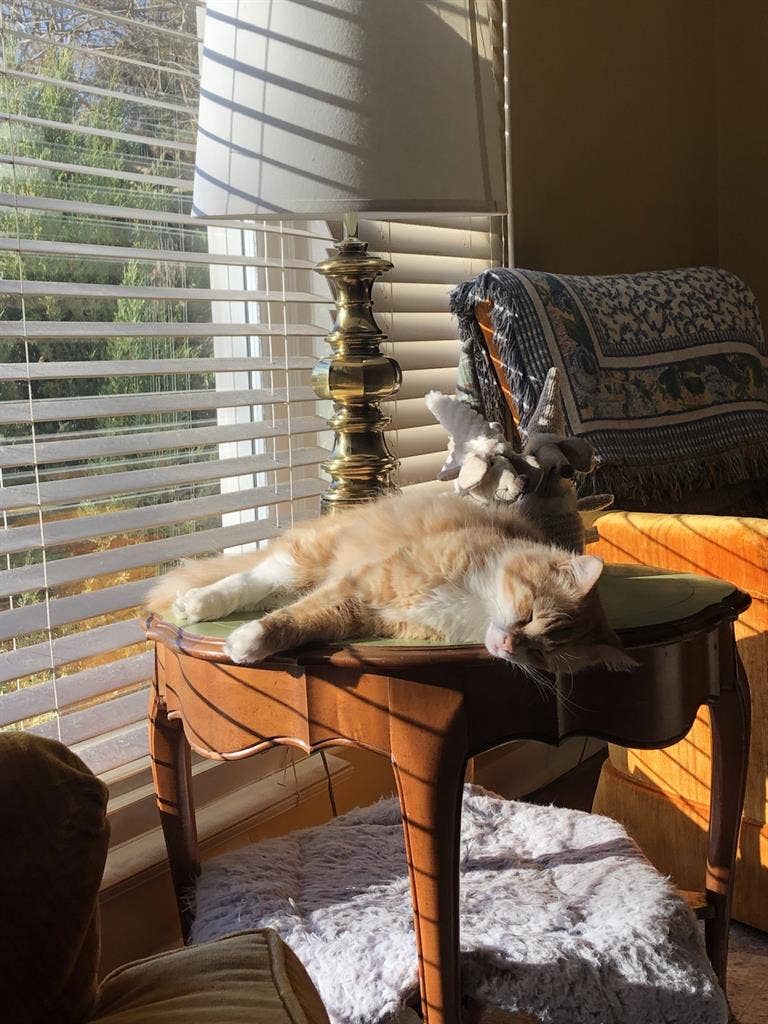 Room for rent in NW Greensboro