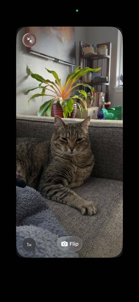 Roommate wanted near Vista/BSU
