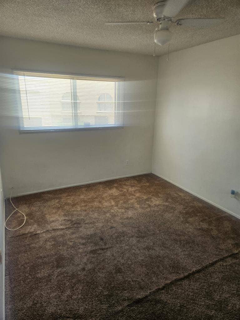 Looking for responsible roommate