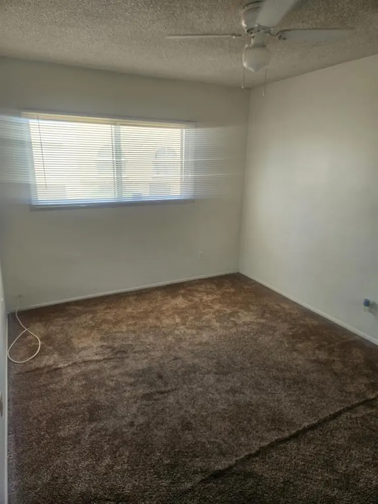 Looking for responsible roommate