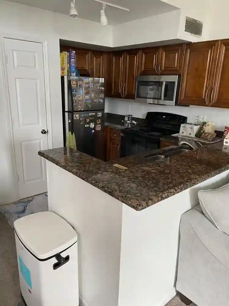 Roommate needed