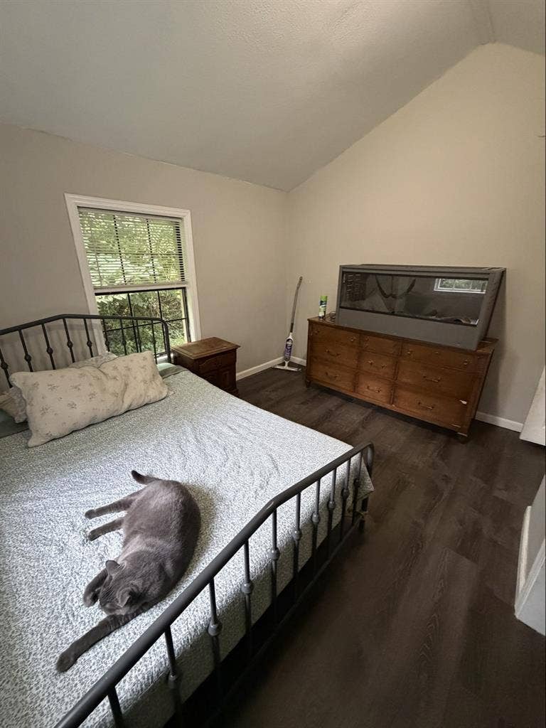 Room for rent
