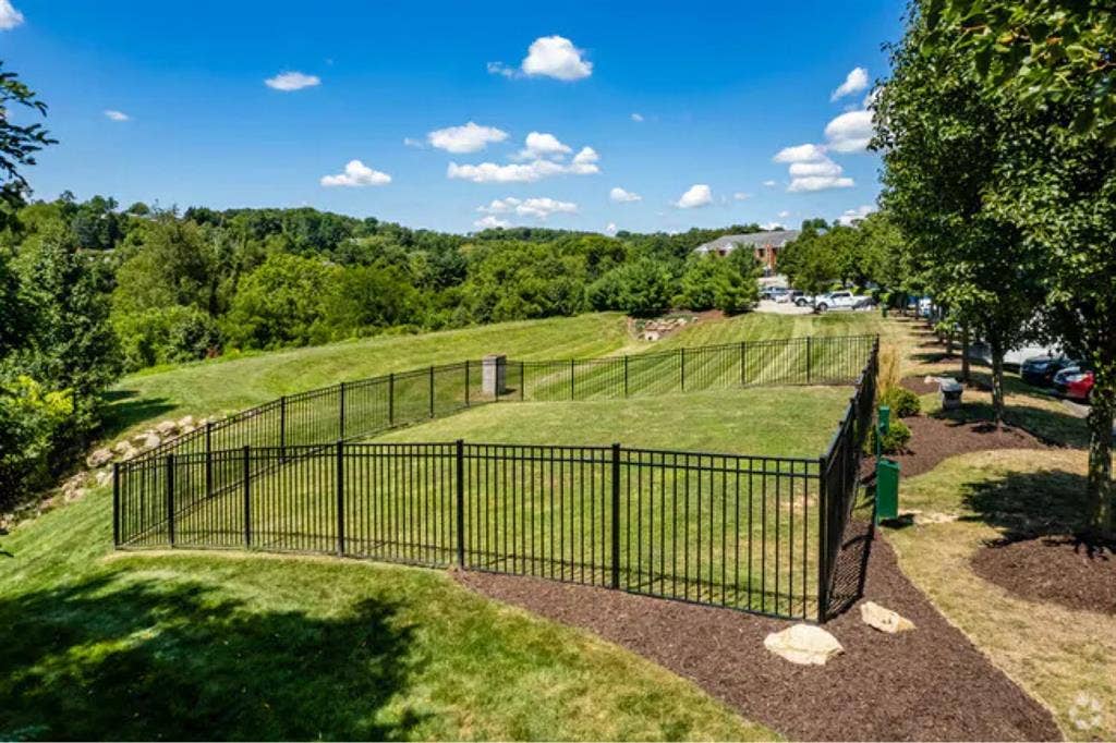 Looking For Roommate - Canonsburgg