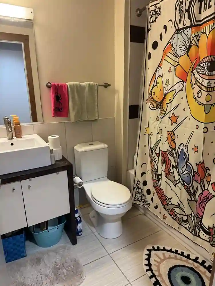 Looking for a roommate!