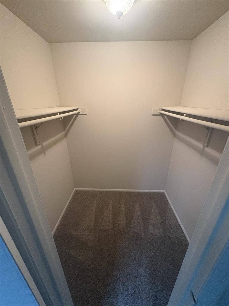 Apartment Roommate wanted