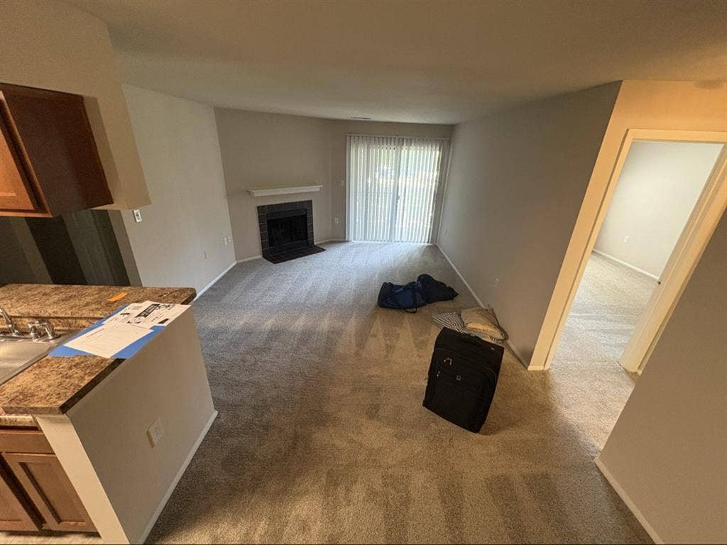 Apartment Roommate wanted